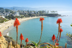oceanfrontsoberliving-oceanfront-homes-photo-bright-orange-aloe-vera-cactus-blooms-framed-against-a-beautiful-beachfront-cove-with-turquoise-242361211